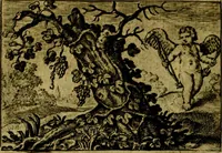 An illustration from Dan. Heinsii Nederduytsche poemata ; by een vergadert en uytgegeven door P. S (1618)