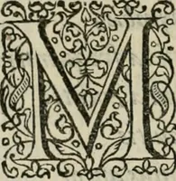 Picture 18 of 159 from Danicorum monumentorum libri sex : e spissis antiquitatum tenebris et in Dania ac Norvegia extantibus ruderibus (1643), leaf 169