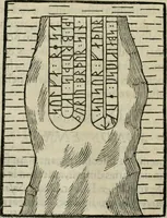 Picture 21 of 159 from Danicorum monumentorum libri sex : e spissis antiquitatum tenebris et in Dania ac Norvegia extantibus ruderibus (1643), leaf 191