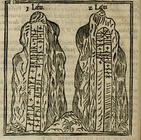 Picture 30 of 159 from Danicorum monumentorum libri sex : e spissis antiquitatum tenebris et in Dania ac Norvegia extantibus ruderibus (1643), leaf 223