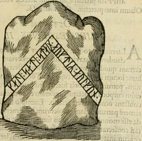 Picture 33 of 159 from Danicorum monumentorum libri sex : e spissis antiquitatum tenebris et in Dania ac Norvegia extantibus ruderibus (1643), leaf 246