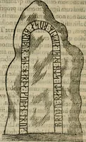 Picture 39 of 159 from Danicorum monumentorum libri sex : e spissis antiquitatum tenebris et in Dania ac Norvegia extantibus ruderibus (1643), leaf 267