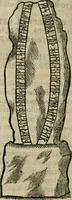 An illustration from Danicorum monumentorum libri sex : e spissis antiquitatum tenebris et in Dania ac Norvegia extantibus ruderibus (1643)