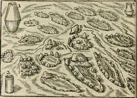 Picture 4 of 159 from Danicorum monumentorum libri sex : e spissis antiquitatum tenebris et in Dania ac Norvegia extantibus ruderibus (1643), leaf 33