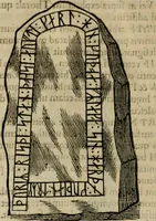 Picture 77 of 159 from Danicorum monumentorum libri sex : e spissis antiquitatum tenebris et in Dania ac Norvegia extantibus ruderibus (1643), leaf 351