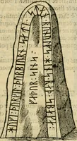 Picture 81 of 159 from Danicorum monumentorum libri sex : e spissis antiquitatum tenebris et in Dania ac Norvegia extantibus ruderibus (1643), leaf 360