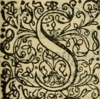 An illustration from Danicorum monumentorum libri sex : e spissis antiquitatum tenebris et in Dania ac Norvegia extantibus ruderibus (1643)