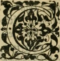 An illustration from Danicorum monumentorum libri sex : e spissis antiquitatum tenebris et in Dania ac Norvegia extantibus ruderibus (1643)