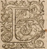 An illustration from Danielis Sennerti Vratislaviensis, D. Et Medicinae In Academia Wittebergensi Profesessoris publici. (1641)
