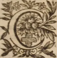 An illustration from Danielis Sennerti Vratislaviensis, D. Et Medicinae In Academia Wittebergensi Profesessoris publici. (1641)