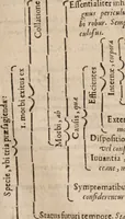 An illustration from Danielis Sennerti Vratislaviensis, D. Et Medicinae In Academia Wittebergensi Profesessoris publici. (1641)