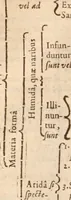 An illustration from Danielis Sennerti Vratislaviensis, D. Et Medicinae In Academia Wittebergensi Profesessoris publici. (1641)