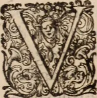 Picture 24 of 24 from Danielis Sennerti Vratislaviensis, D. Et Medicinae In Academia Wittebergensi Profesessoris publici. (1641), leaf 966