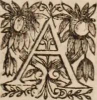 An illustration from Danielis Sennerti Vratislaviensis, D. Et Medicinae In Academia Wittebergensi Profesessoris publici. (1641)
