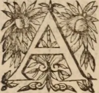 An illustration from Danielis Sennerti Vratislaviensis, D. Et Medicinae In Academia Wittebergensi Profesessoris publici. (1641)