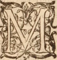 An illustration from Danielis Sennerti Vratislaviensis, D. Et Medicinae In Academia Wittebergensi Profesessoris publici. (1641)