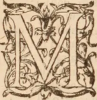 An illustration from Danielis Sennerti Vratislaviensis, D. Et Medicinae In Academia Wittebergensi Profesessoris publici. (1641)