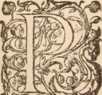 Picture 22 of 47 from Danielis Sennerti Vratislaviensis, D. Et Medicinae In Academia Wittebergensi Profesessoris publici. (1641), leaf 497