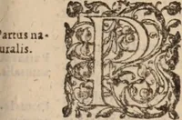 An illustration from Danielis Sennerti Vratislaviensis, D. Et Medicinae In Academia Wittebergensi Profesessoris publici. (1641)