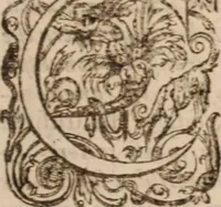 An illustration from Danielis Sennerti Vratislaviensis, D. Et Medicinae In Academia Wittebergensi Profesessoris publici. (1641)
