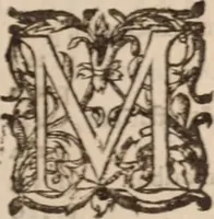 An illustration from Danielis Sennerti Vratislaviensis, D. Et Medicinae In Academia Wittebergensi Profesessoris publici. (1641)