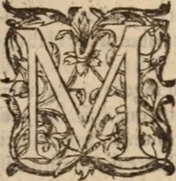 An illustration from Danielis Sennerti Vratislaviensis, D. Et Medicinae In Academia Wittebergensi Profesessoris publici. (1641)