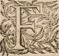 An illustration from Danielis Sennerti Vratislaviensis, D. Et Medicinae In Academia Wittebergensi Profesessoris publici. (1641)