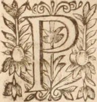 An illustration from Danielis Sennerti Vratislaviensis, D. Et Medicinae In Academia Wittebergensi Profesessoris publici. (1641)