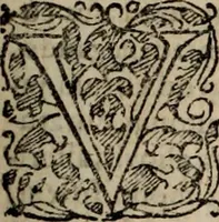 An illustration from Danmarckis Rigis Krønicke (1652)