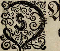 An illustration from Danmarckis Rigis Krønicke (1652)