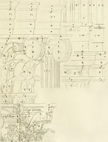 An illustration from Oeuvres d'architecture de Vincent Scamozzi vicentin, architecte de la republique de Venise, contenuës dans son idée de l'architecture universelle : dont les regles des cinq ordres, que le sixième livre contient ont été traduites en françois (1713)