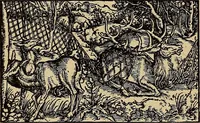 An illustration from Das Alte buch und seine ausstattung vom XV. bis zum XIX. jahrhundert: buchdruck, buchschmuck und einbände (1915)