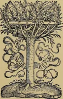 An illustration from Das Alte buch und seine ausstattung vom XV. bis zum XIX. jahrhundert: buchdruck, buchschmuck und einbände (1915)