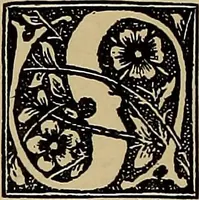 Picture 547 of 776 from Das Alte buch und seine ausstattung vom XV. bis zum XIX. jahrhundert: buchdruck, buchschmuck und einbände (1915), leaf 118