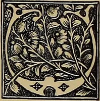 Picture 548 of 776 from Das Alte buch und seine ausstattung vom XV. bis zum XIX. jahrhundert: buchdruck, buchschmuck und einbände (1915), leaf 118