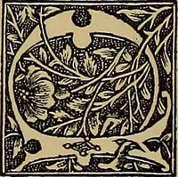 Picture 553 of 776 from Das Alte buch und seine ausstattung vom XV. bis zum XIX. jahrhundert: buchdruck, buchschmuck und einbände (1915), leaf 118