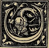 Picture 588 of 776 from Das Alte buch und seine ausstattung vom XV. bis zum XIX. jahrhundert: buchdruck, buchschmuck und einbände (1915), leaf 126