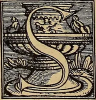 An illustration from Das Alte buch und seine ausstattung vom XV. bis zum XIX. jahrhundert: buchdruck, buchschmuck und einbände (1915)