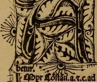 An illustration from Das Alte buch und seine ausstattung vom XV. bis zum XIX. jahrhundert: buchdruck, buchschmuck und einbände (1915)