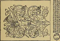 Picture 209 of 776 from Das Alte buch und seine ausstattung vom XV. bis zum XIX. jahrhundert: buchdruck, buchschmuck und einbände (1915), leaf 57