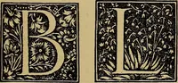 Picture 237 of 776 from Das Alte buch und seine ausstattung vom XV. bis zum XIX. jahrhundert: buchdruck, buchschmuck und einbände (1915), leaf 61