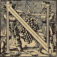 Picture 248 of 776 from Das Alte buch und seine ausstattung vom XV. bis zum XIX. jahrhundert: buchdruck, buchschmuck und einbände (1915), leaf 62