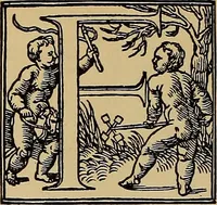 Picture 379 of 776 from Das Alte buch und seine ausstattung vom XV. bis zum XIX. jahrhundert: buchdruck, buchschmuck und einbände (1915), leaf 86