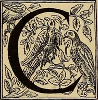 An illustration from Das Alte buch und seine ausstattung vom XV. bis zum XIX. jahrhundert: buchdruck, buchschmuck und einbände (1915)