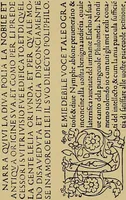 Picture 428 of 776 from Das Alte buch und seine ausstattung vom XV. bis zum XIX. jahrhundert: buchdruck, buchschmuck und einbände (1915), leaf 95