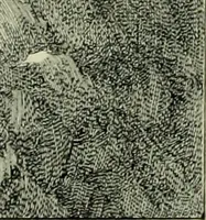 An illustration from Das Benediktinerstift Göttweig (1914)