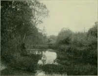 Picture 66 of 78 from Das Benediktinerstift Göttweig (1914), leaf 62