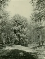 Picture 69 of 78 from Das Benediktinerstift Göttweig (1914), leaf 64