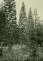 An illustration from Das Benediktinerstift Göttweig (1914)