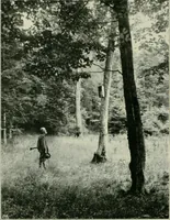 An illustration from Das Benediktinerstift Göttweig (1914)